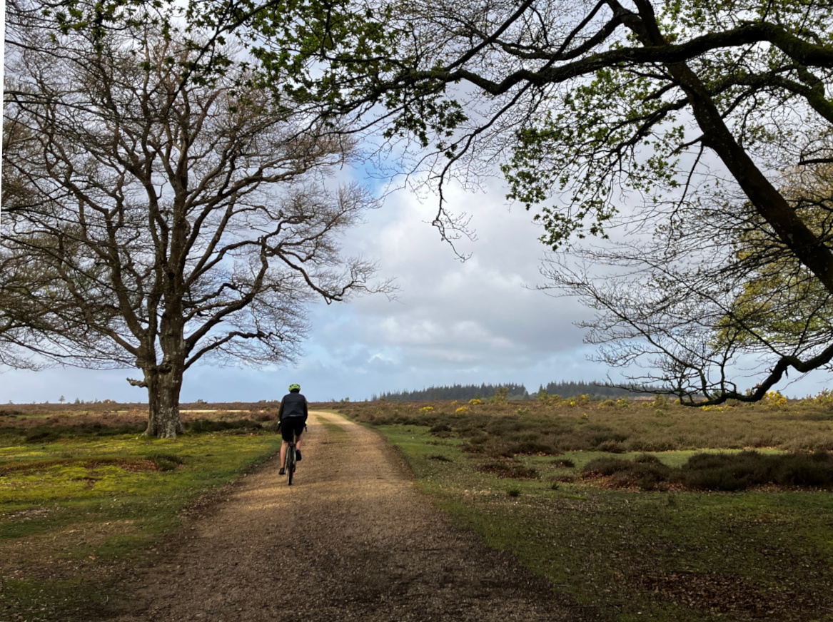 Cycling out of the Woods